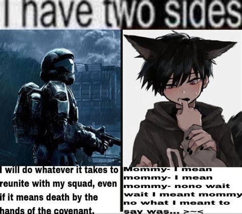 The Evolution of Femboy Memes: A Real and Relatable Trend.